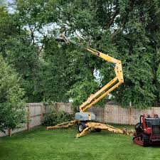Best Tree Health Inspection  in Rosamond, CA