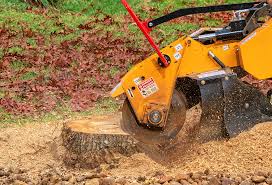 Best Firewood Processing and Delivery  in Rosamond, CA